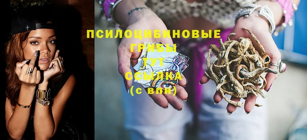 PSILOCYBIN Алексин