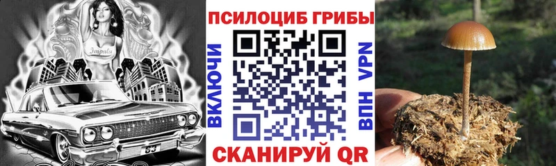 Псилоцибиновые грибы мицелий  Красноуральск 
